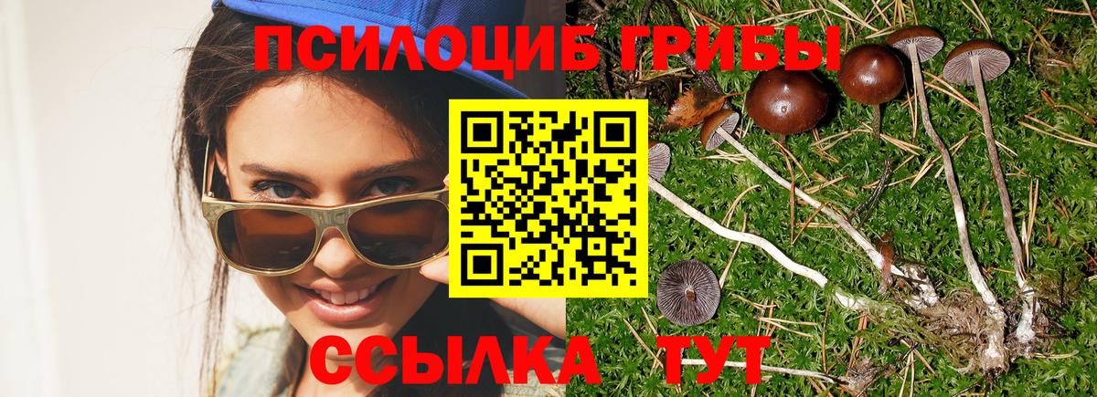 Киров  купить  сайты  Вход с VPN  Галлюциногенные грибы MAGIC MUSHROOMS 